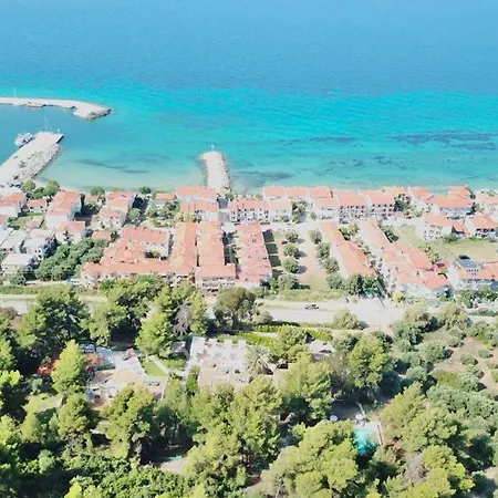 Greek Pride Cronwell Rahoni (adults Only)