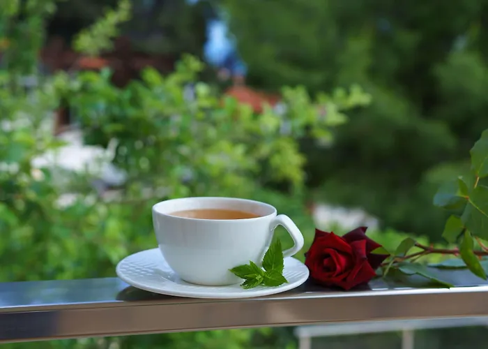 Greek Pride Cronwell Rahoni (adults Only)